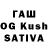 Галлюциногенные грибы Cubensis Walentina Kyn