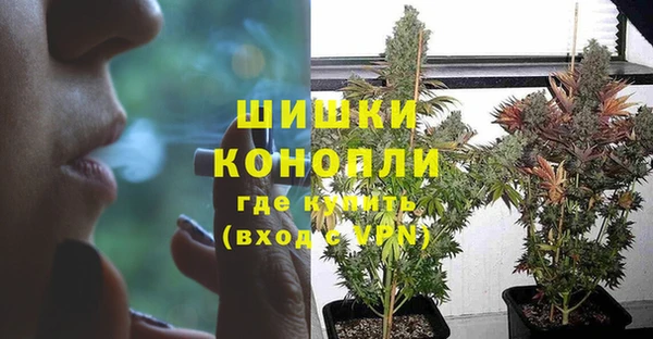 гидра Пестово